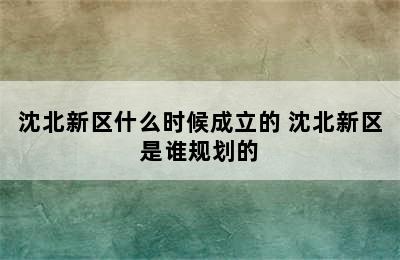 沈北新区什么时候成立的 沈北新区是谁规划的